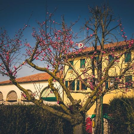Le Vigne Morosina Βίλα Cessalto Εξωτερικό φωτογραφία