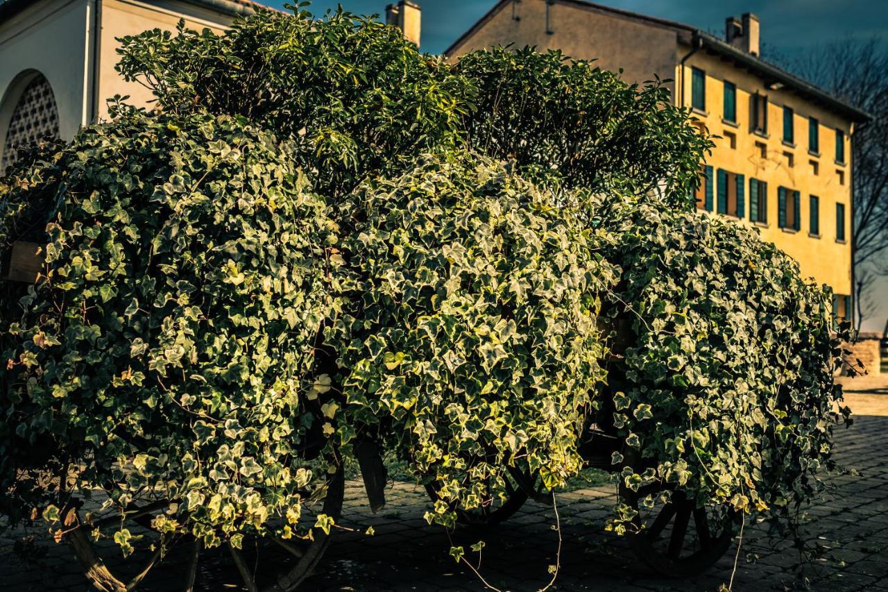 Le Vigne Morosina Βίλα Cessalto Εξωτερικό φωτογραφία