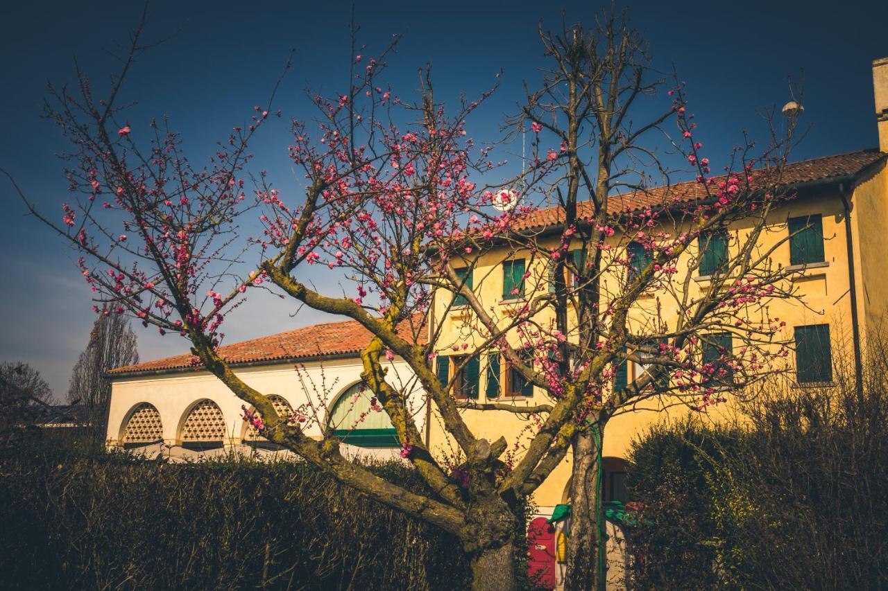 Le Vigne Morosina Βίλα Cessalto Εξωτερικό φωτογραφία